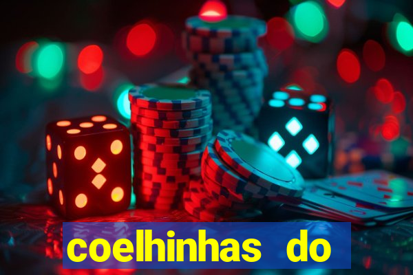 coelhinhas do brasil site